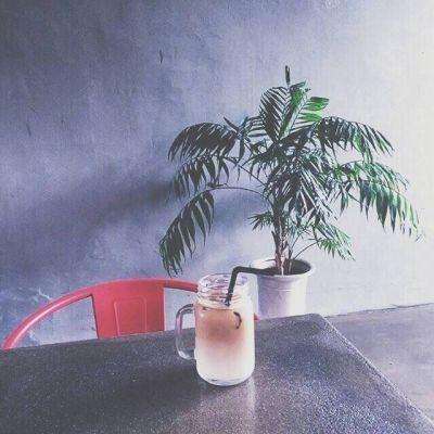 走出去九游版下载